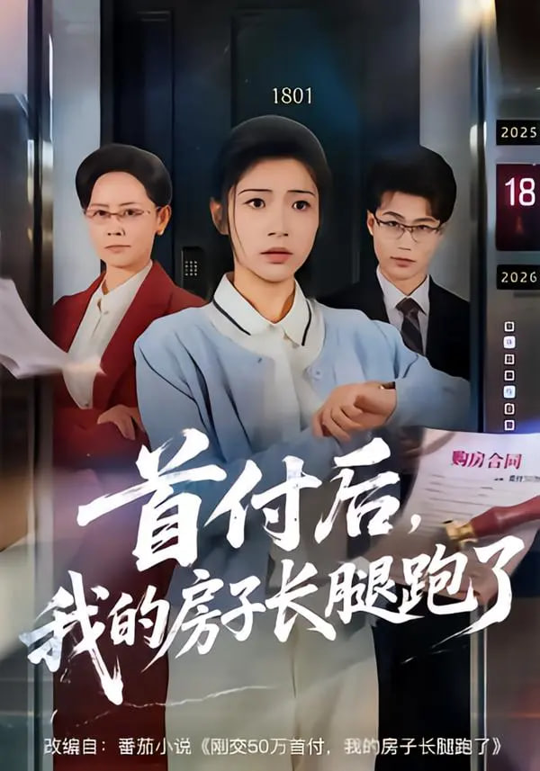 首付后，我的房子长腿跑了(全集)