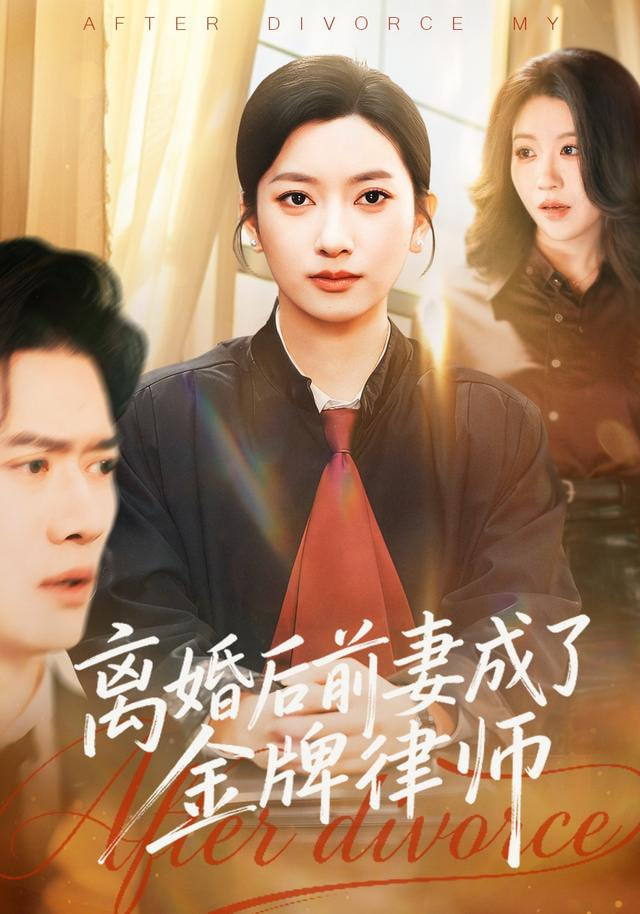离婚后前妻成了金牌律师(全集)