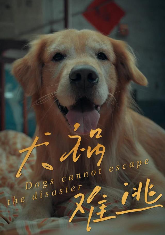 犬祸难逃(全集)
