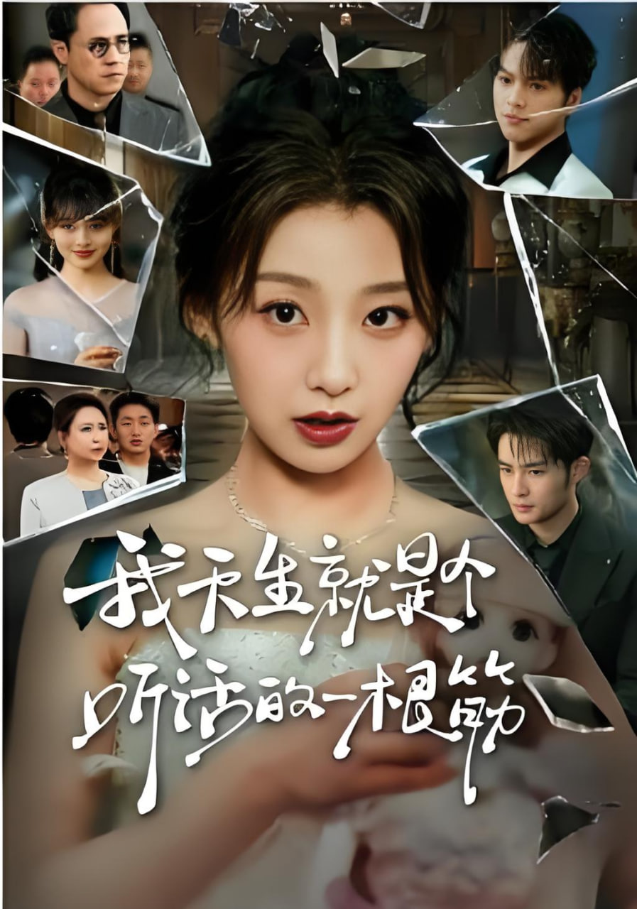我天生就是个听话的一根筋(全集)