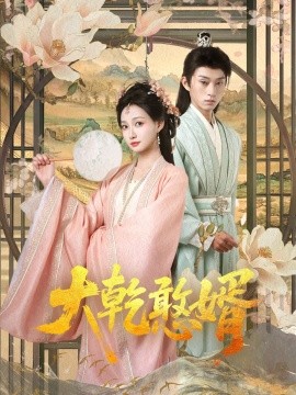 大乾憨婿101集(全集)